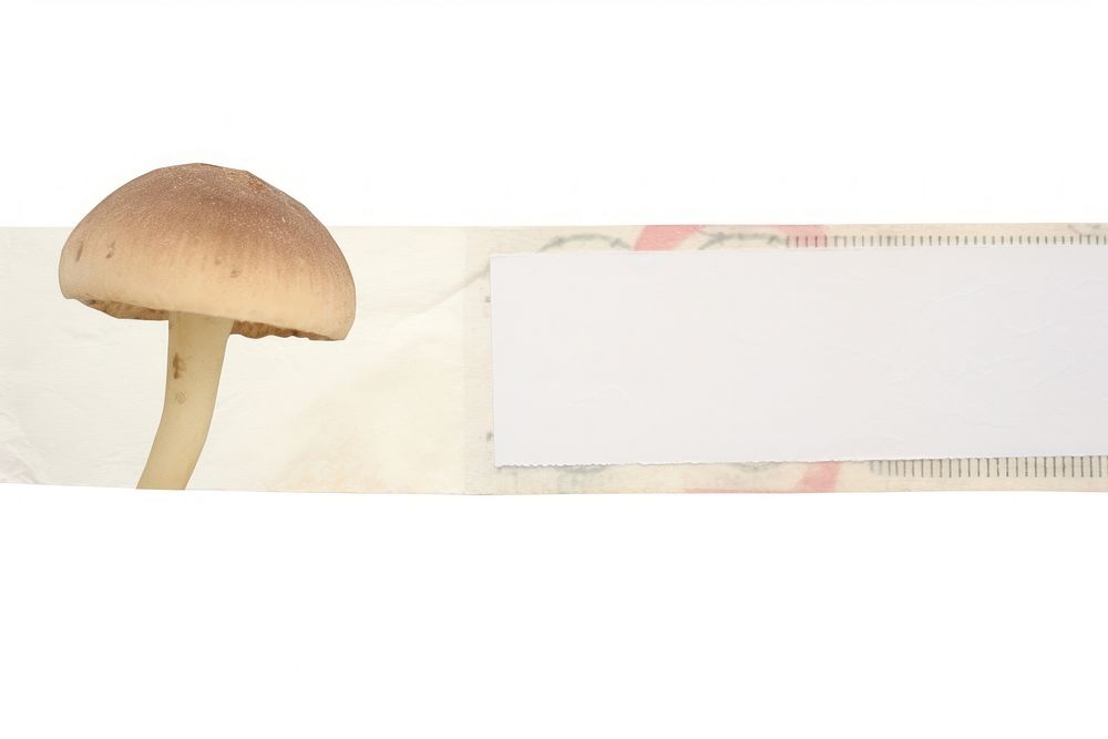 Adhesive tape is stuck on a mushroom ephemera collage paper white white background.