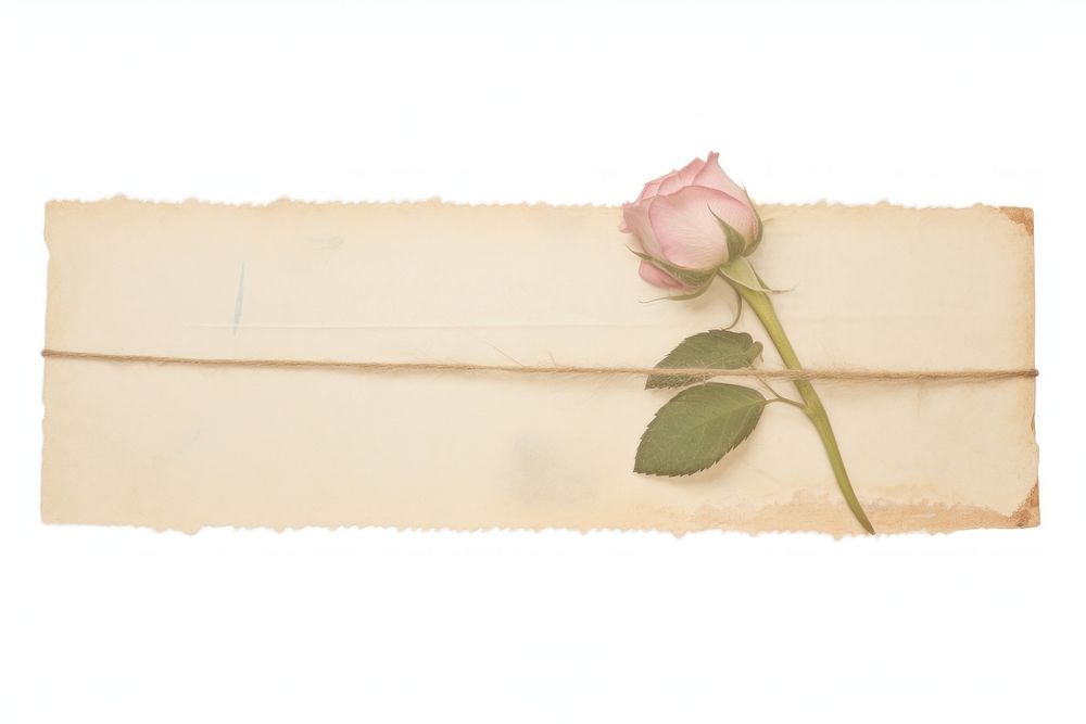 Adhesive tape is stuck on a rose ephemera collage envelope flower plant.