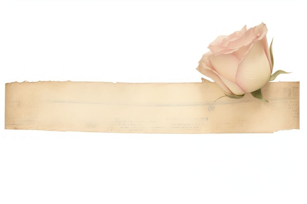 Adhesive tape is stuck on a rose ephemera collage flower petal plant.