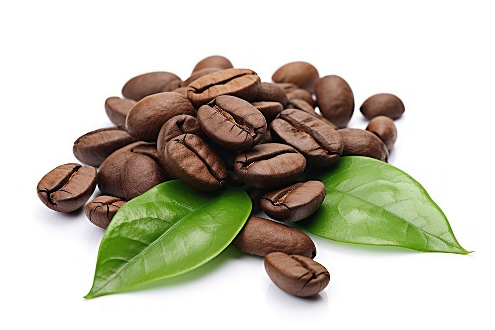Coffee beans roasted plant white background.