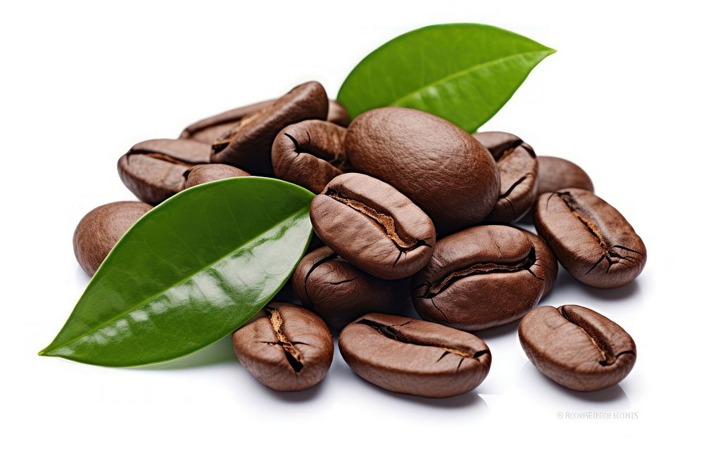 Coffee beans plant food white background.