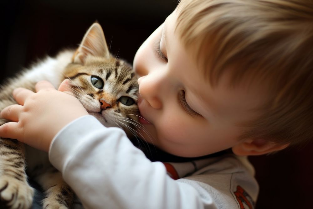 Young boy playing with a kittys photography portrait animal.