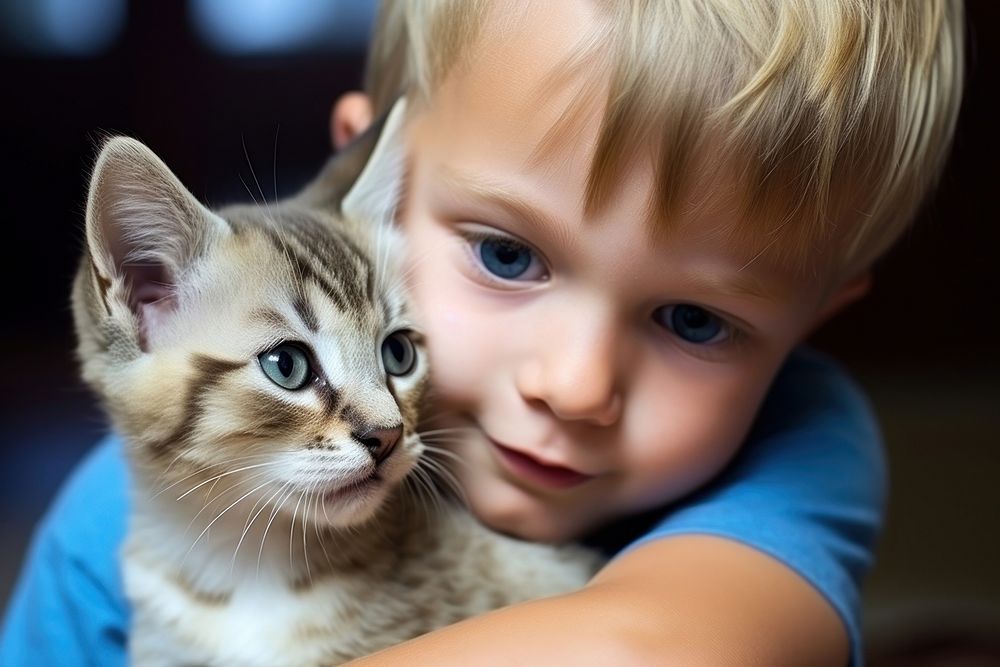 Young boy playing with a kittys photography portrait animal.