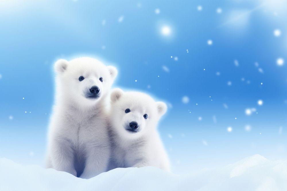 Cute polar bears cub wildlife outdoors mammal.