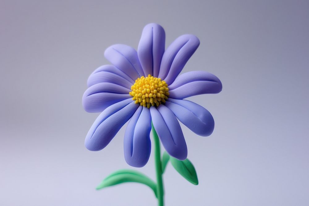Cute Plasticine clay 3d of aster flower blossom petal plant.