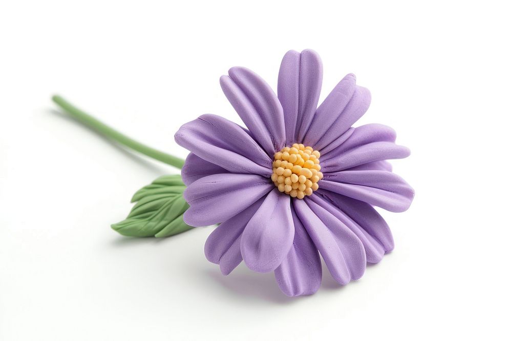 Cute Plasticine clay 3d of aster flower plant daisy white background.
