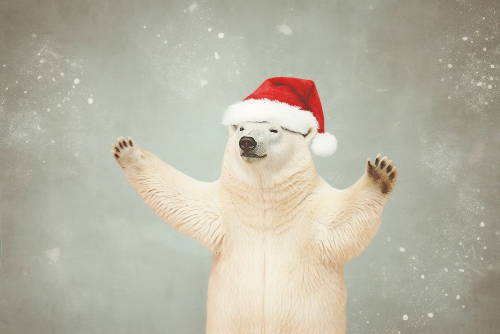 Happy polar bear celebrating Christmas wearing Santa hat christmas mammal animal.