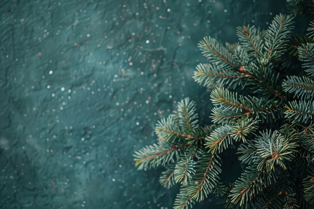 New year minimal background tree backgrounds christmas.