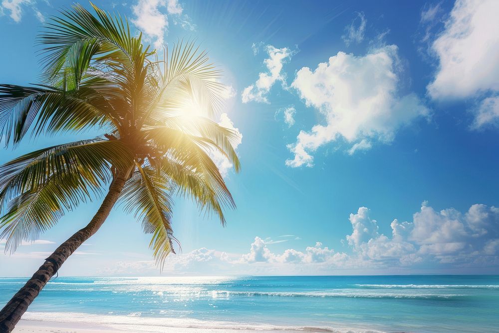 Palm tree on the beach summer sea shoreline.