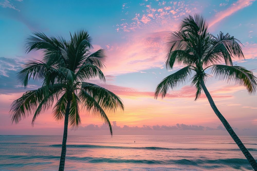 Palm trees on the beach sky sea arecaceae.