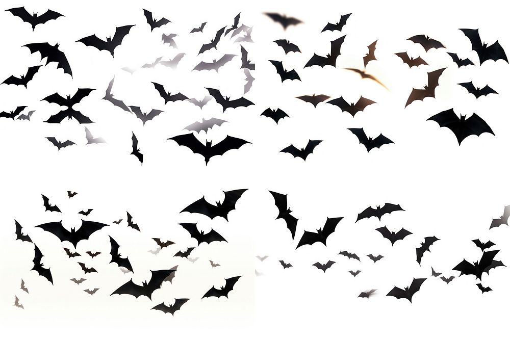 Bats wildlife animal flying.