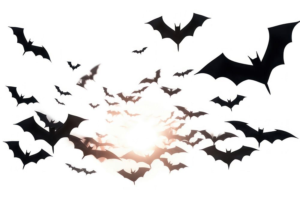 Bats silhouette flying white background.