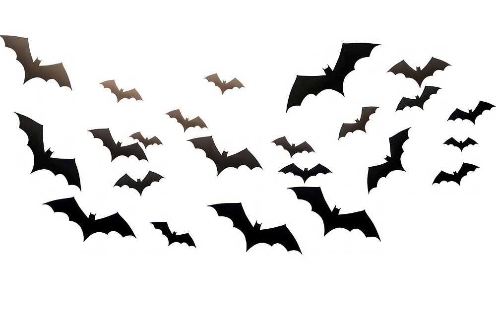 Bats silhouette animal flying.