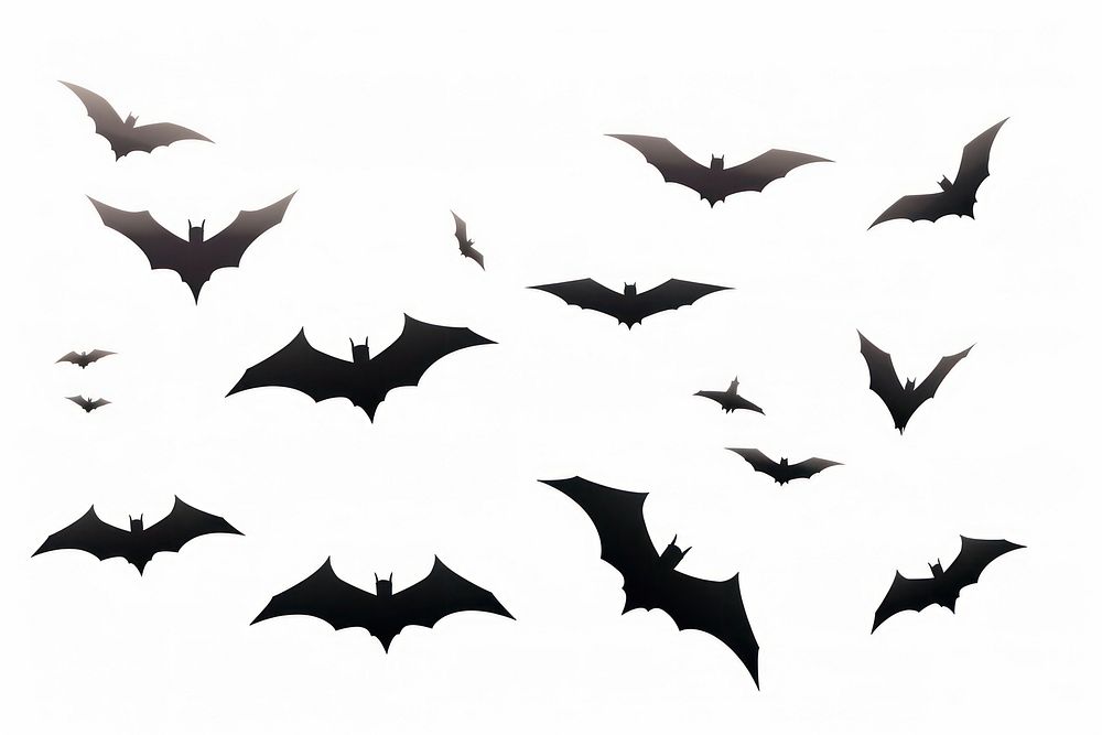 Bats flying white background wildlife.