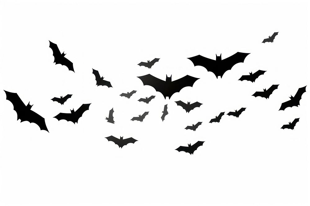 Bats silhouette wildlife animal.