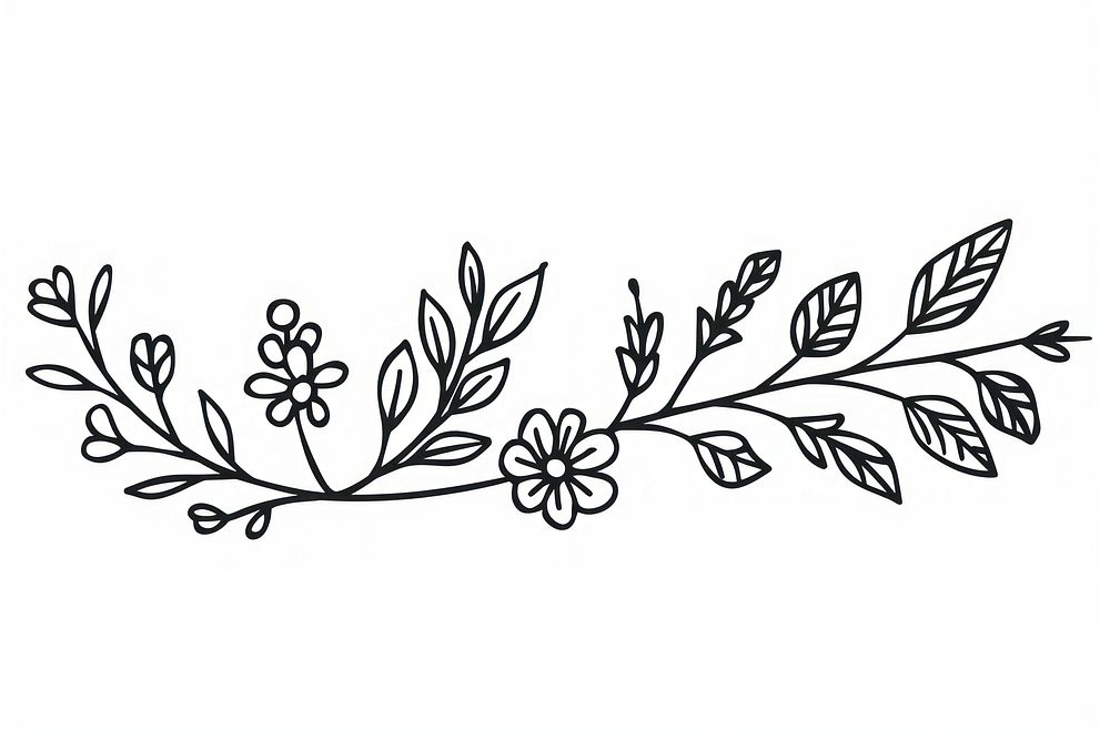 Divider doodle of homeopathy illustrated graphics pattern.