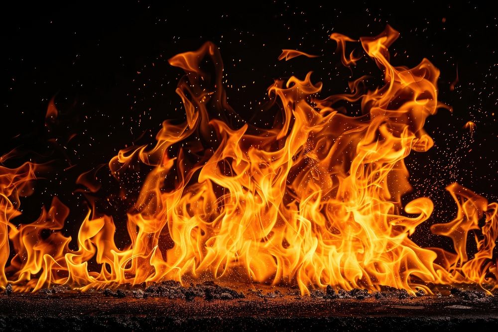 Chicken fire flame bonfire black background fireplace.