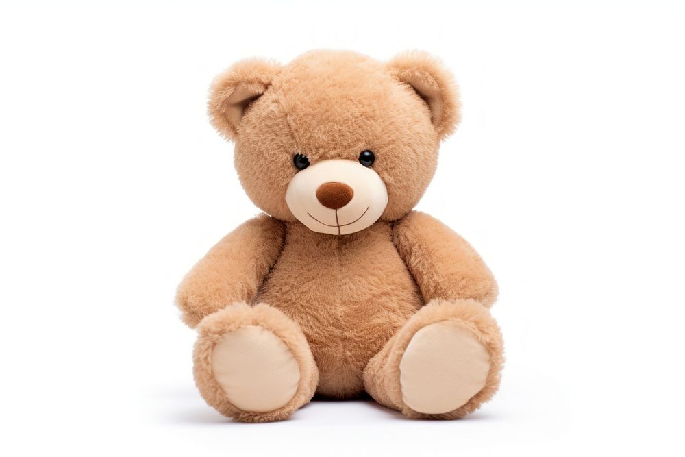 Teddy bear plush toy white background.