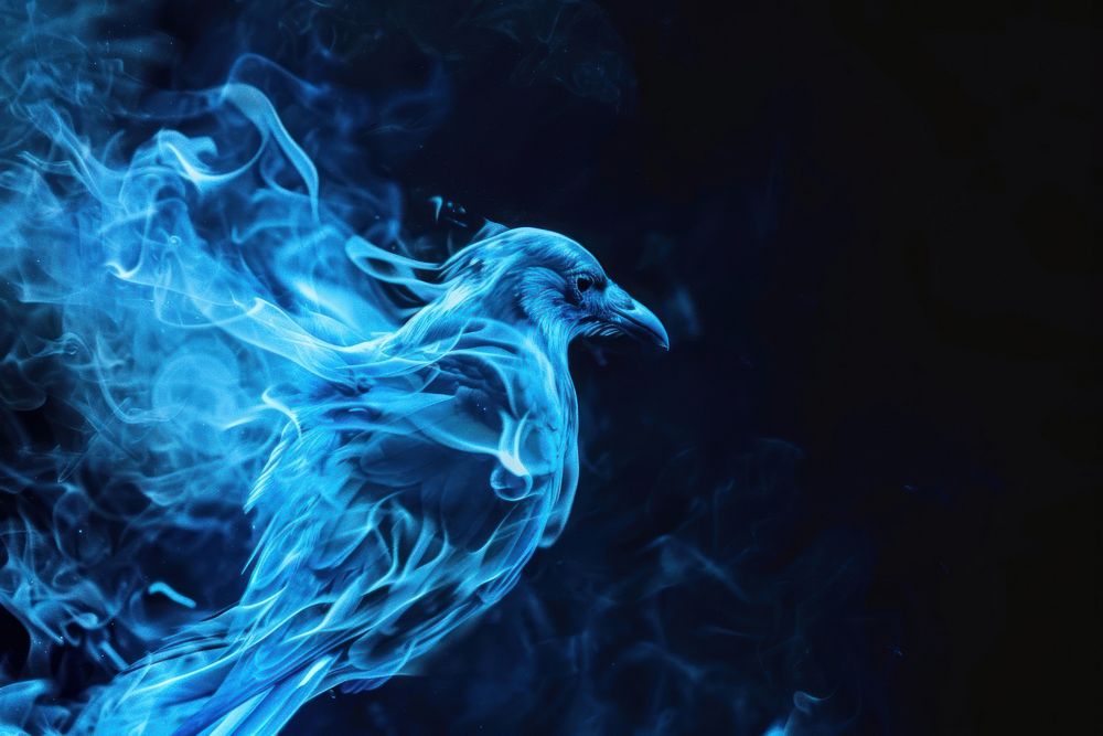 Bird fire flame blue backgrounds smoke.