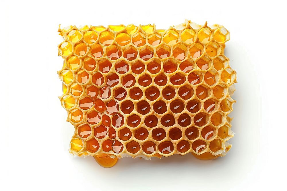 Honeycomb with honey drop honeycomb reptile animal.