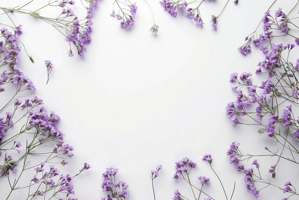 Limonium frame circle backgrounds lavender blossom.