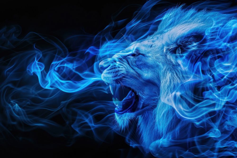 Lion fire flame backgrounds mammal smoke.