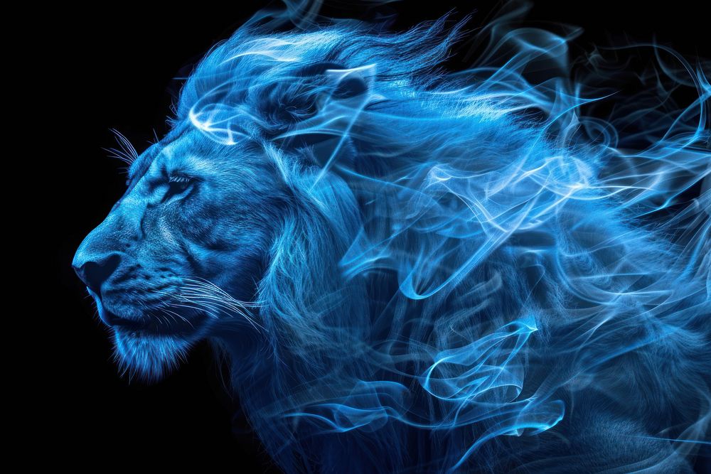 Lion fire flame wildlife animal mammal.