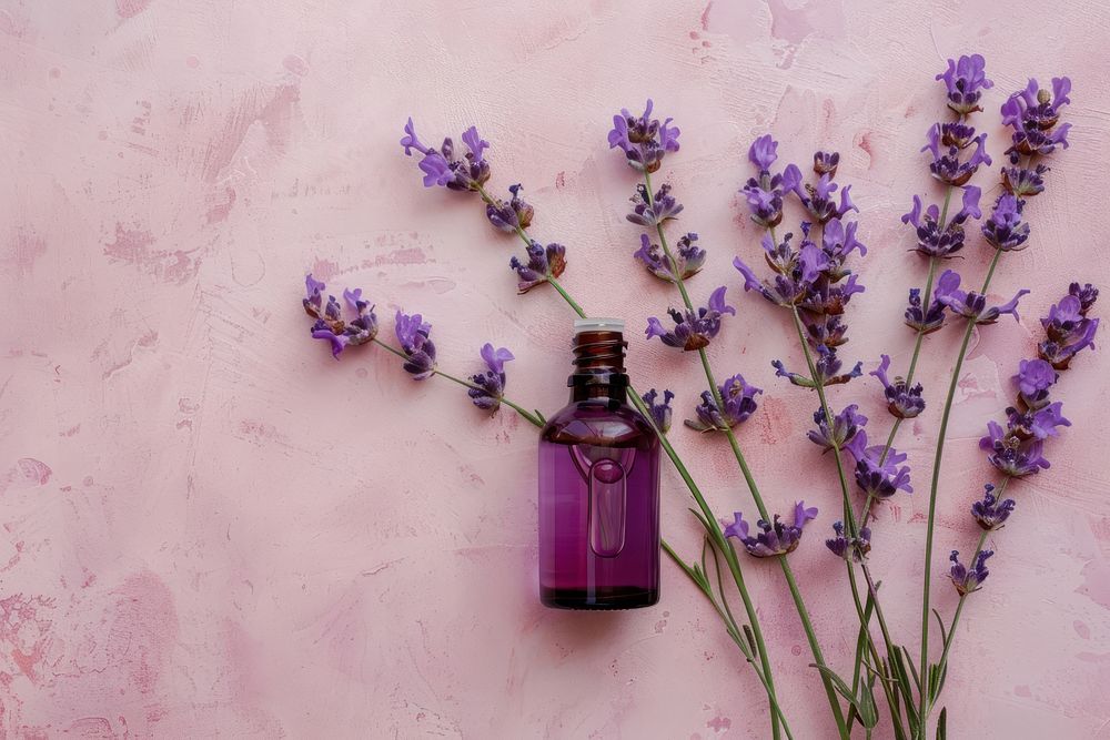 Aromatherapy ingredients lavender flower plant fragility.