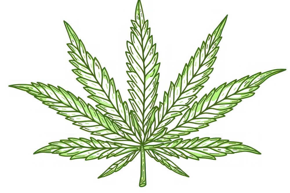 Cannabis leaf plant herbs line.