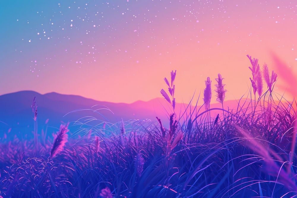 Grassland purple backgrounds landscape.