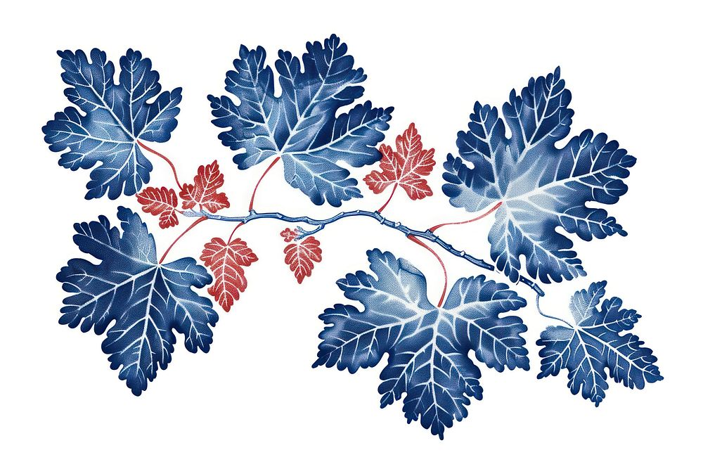 Antique of coral leaf pattern sketch plant.