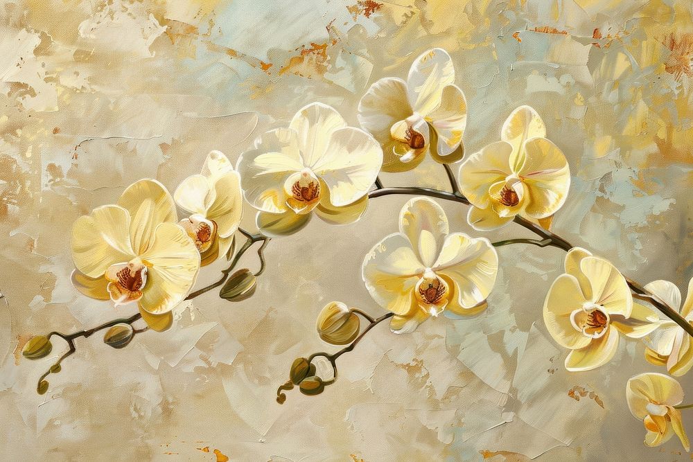 Yellow orchid flowers painting backgrounds plant.