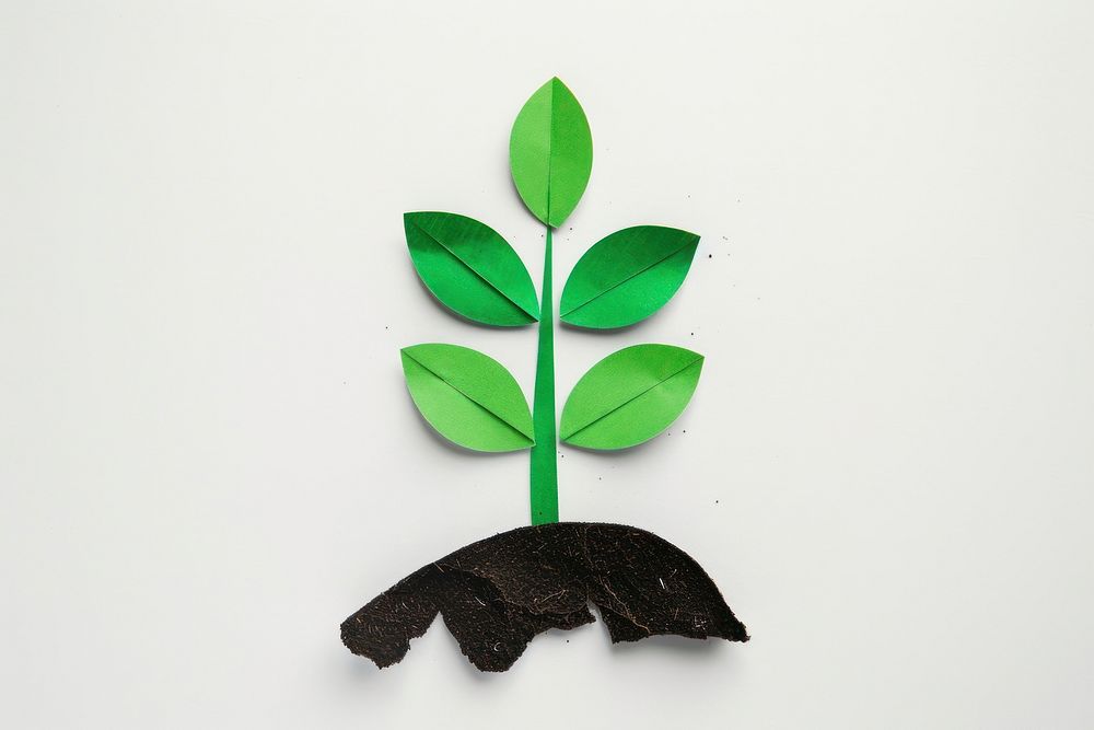 Simple plant with soil green leaf seedling.