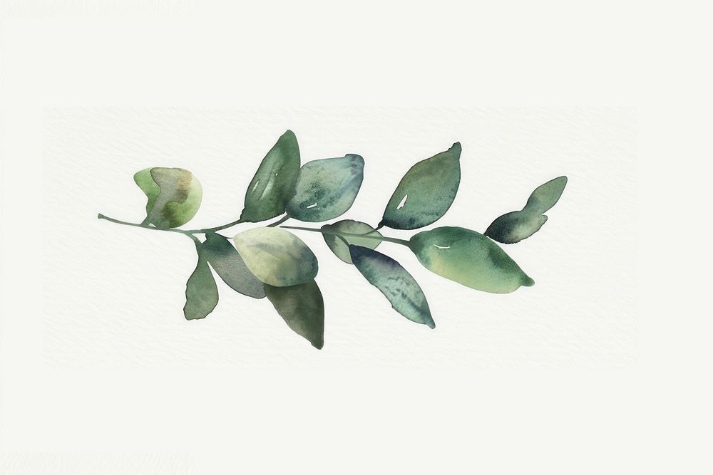 minimal and simplified, watercolor illustration of *minimal leafs* , children's book ,minimal, illustrations, isolate…