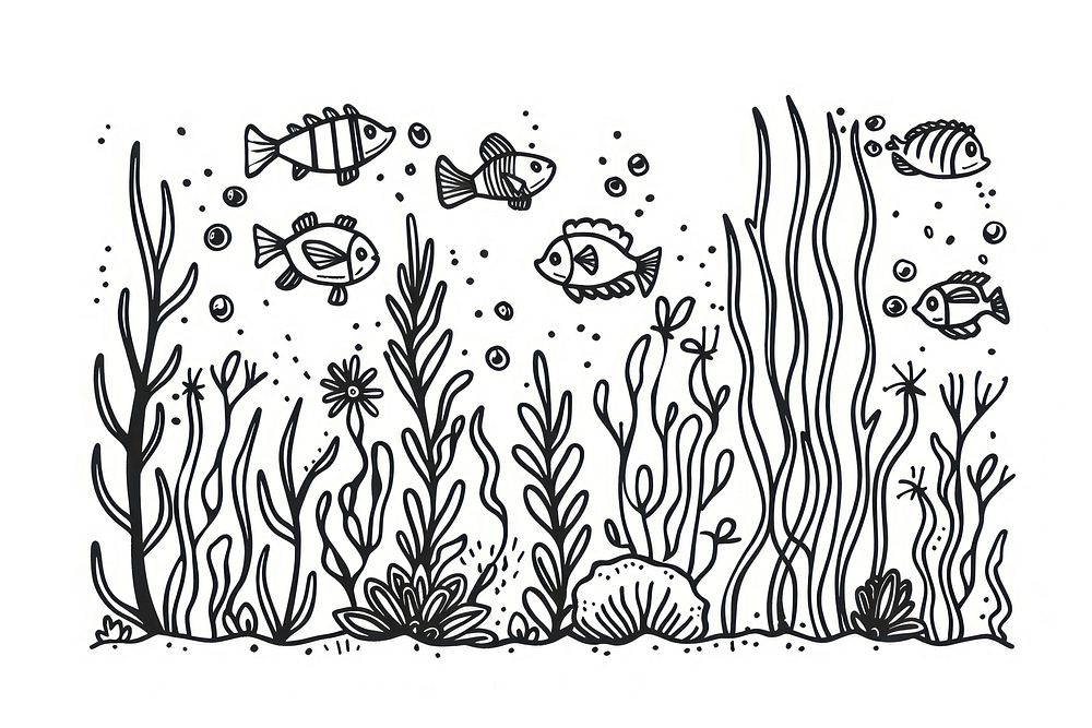 Divider doodle of a aquarium drawing sketch line.