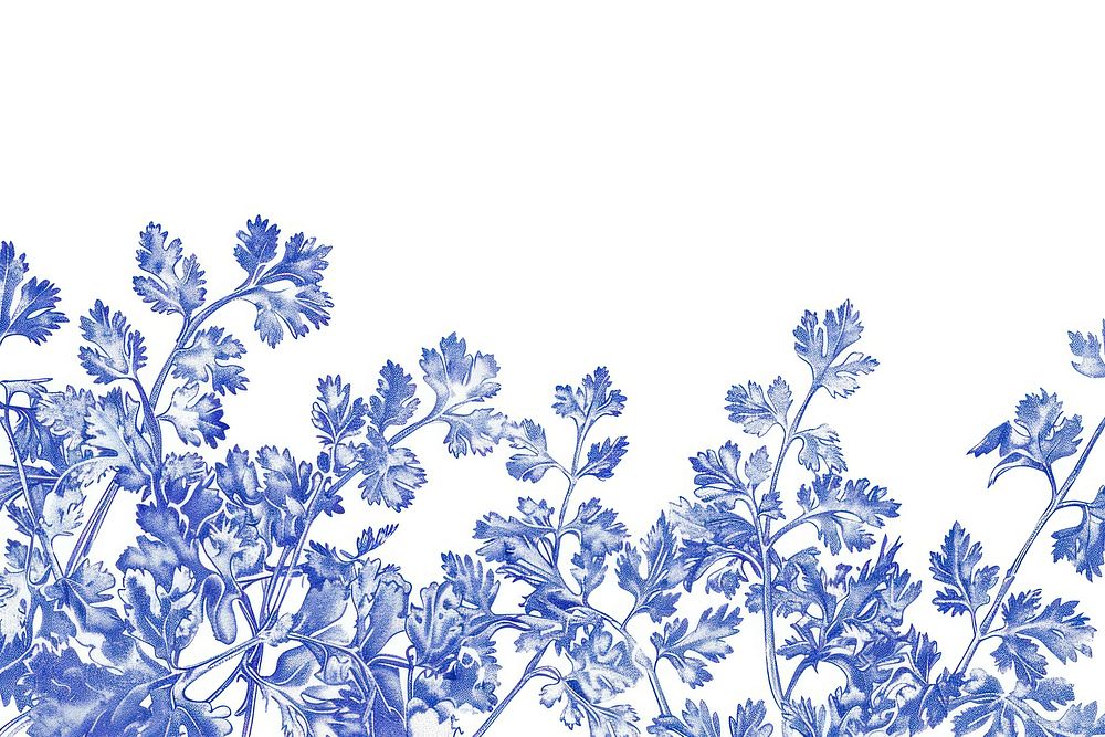 Vintage drawing cilantro plants pattern herbs blue.