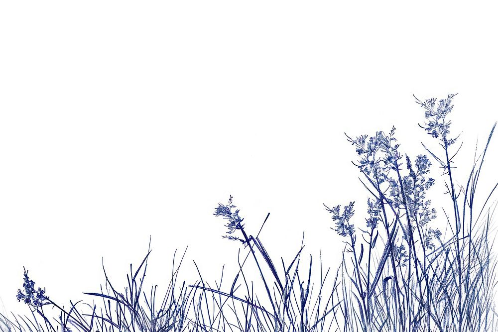 Vintage drawing grasses outdoors nature flower.