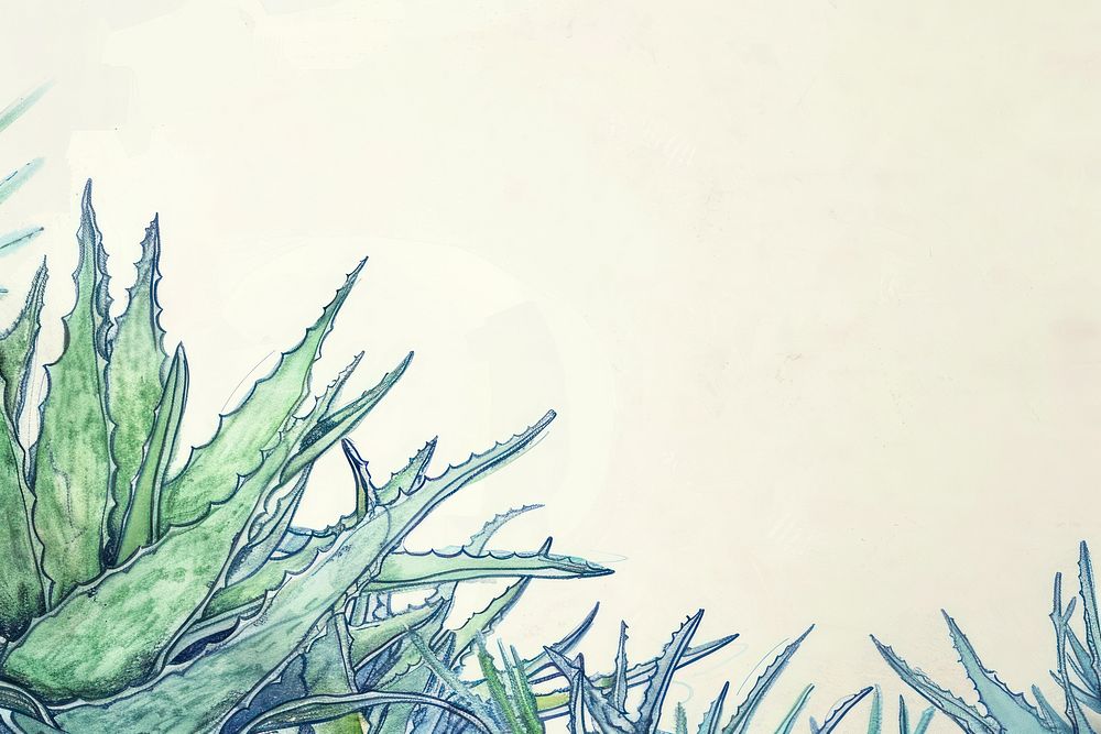 Vintage drawing aloe vera plants sketch paper backgrounds.