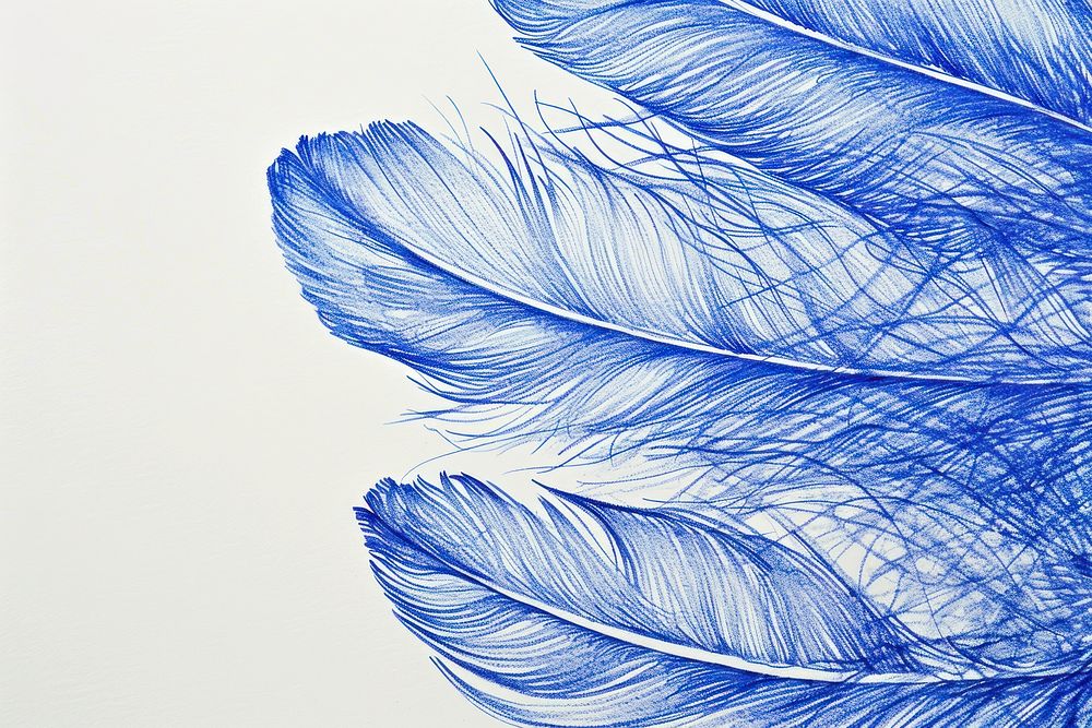Vintage drawing feathers pattern sketch blue.