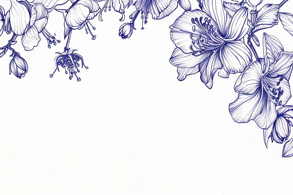 Vintage drawing saffron flowers pattern sketch white.