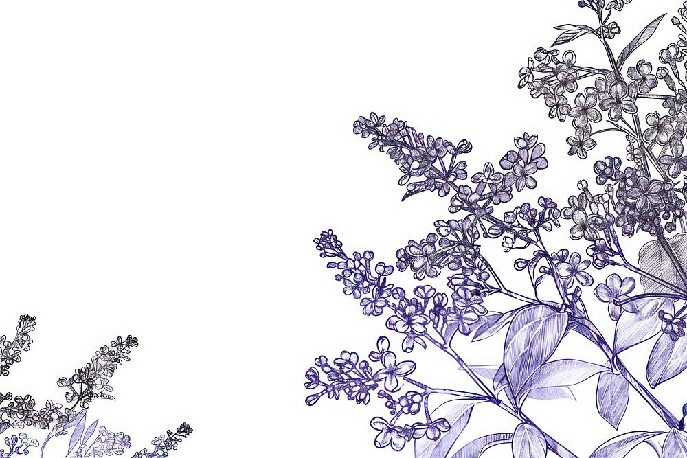 Vintage drawing lilac flowers lavender pattern sketch.