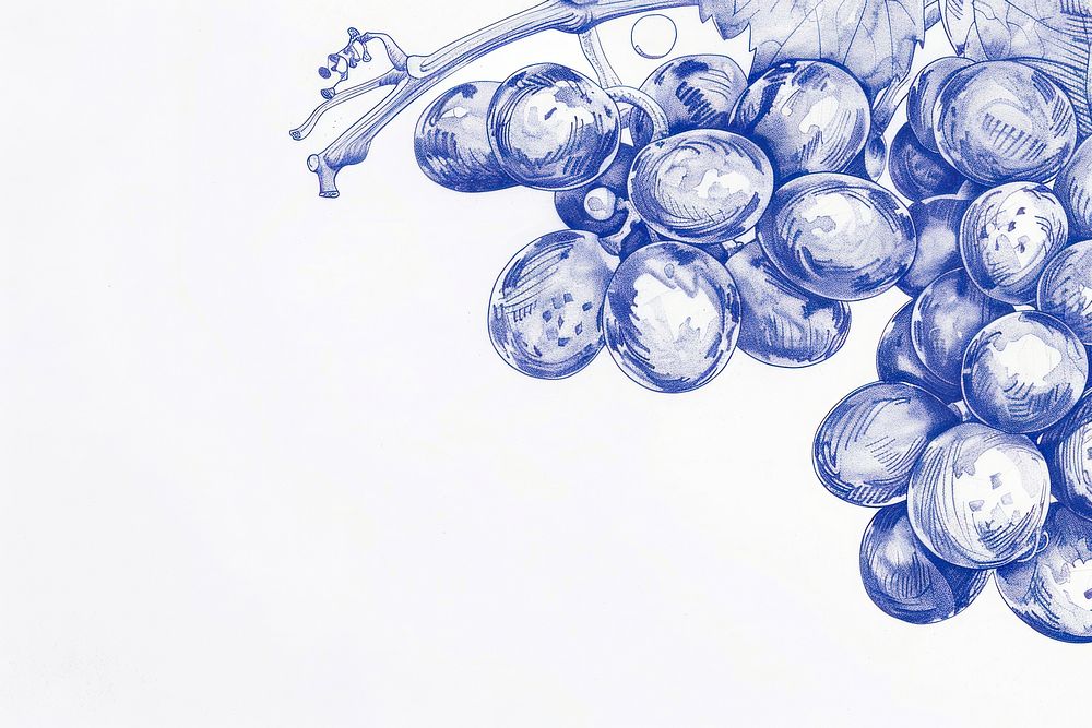 Vintage drawing grapes sketch blue illustrated.
