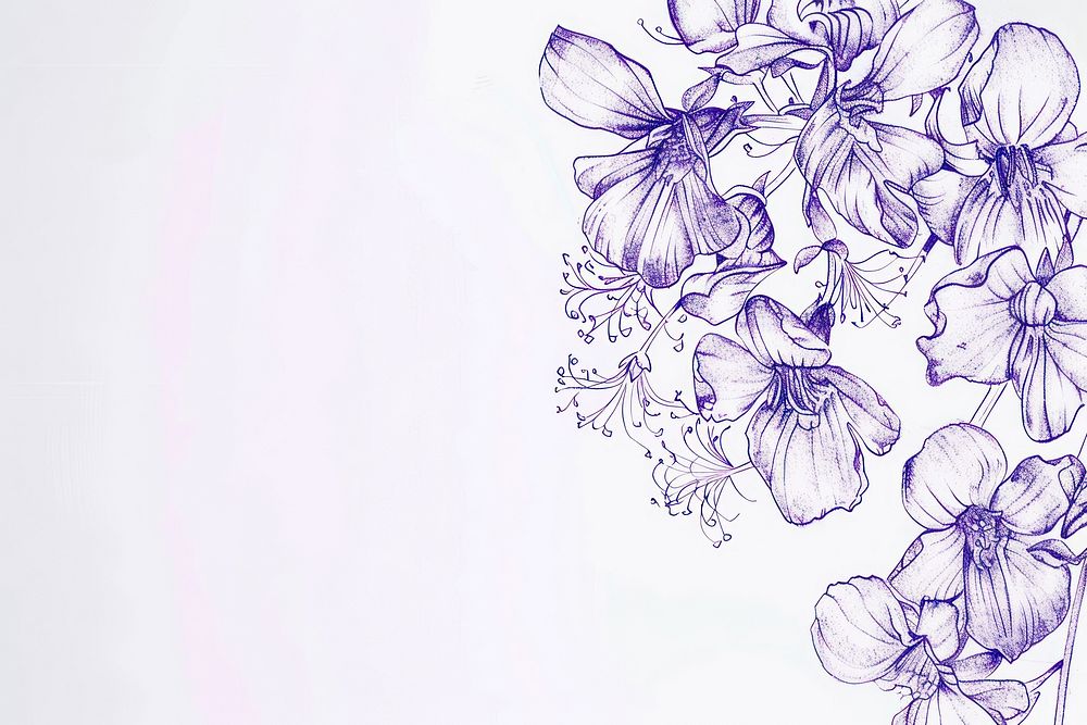 Vintage drawing sweet violet flowers pattern sketch petal.