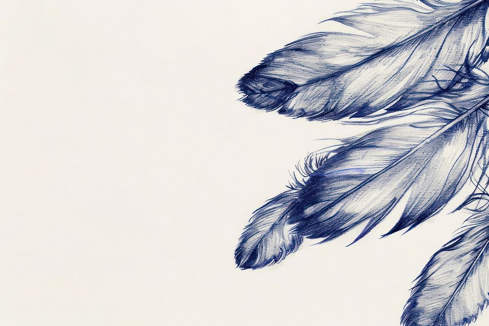 Vintage drawing feathers sketch blue backgrounds.