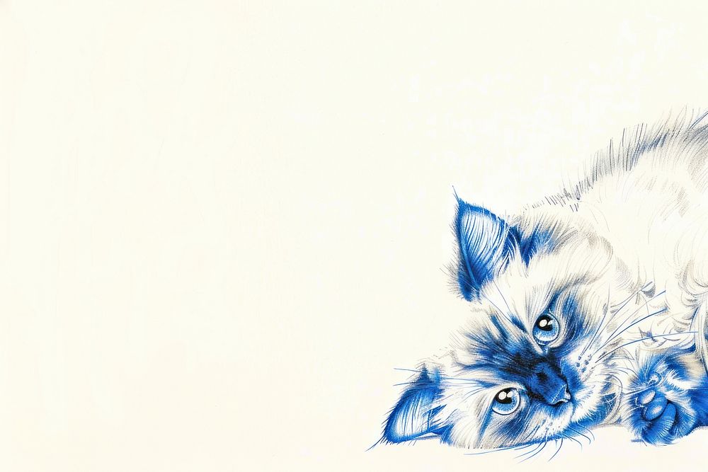 Vintage drawing ragdoll cats animal mammal sketch.