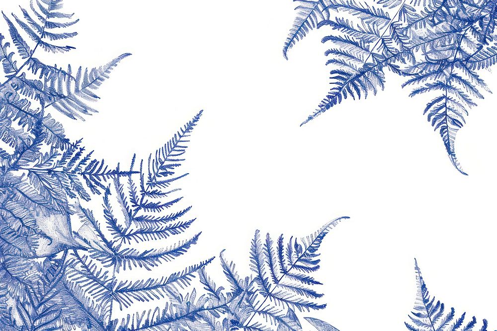Vintage drawing boston fern plants nature backgrounds snowflake.
