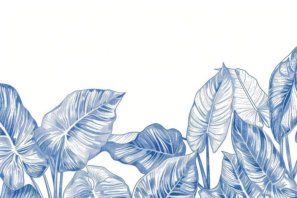 Vintage drawing philodendrons pattern nature sketch.