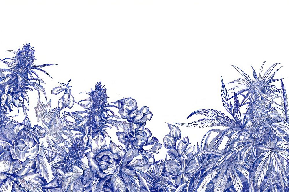 Vintage drawing cannabis flowers pattern nature sketch.