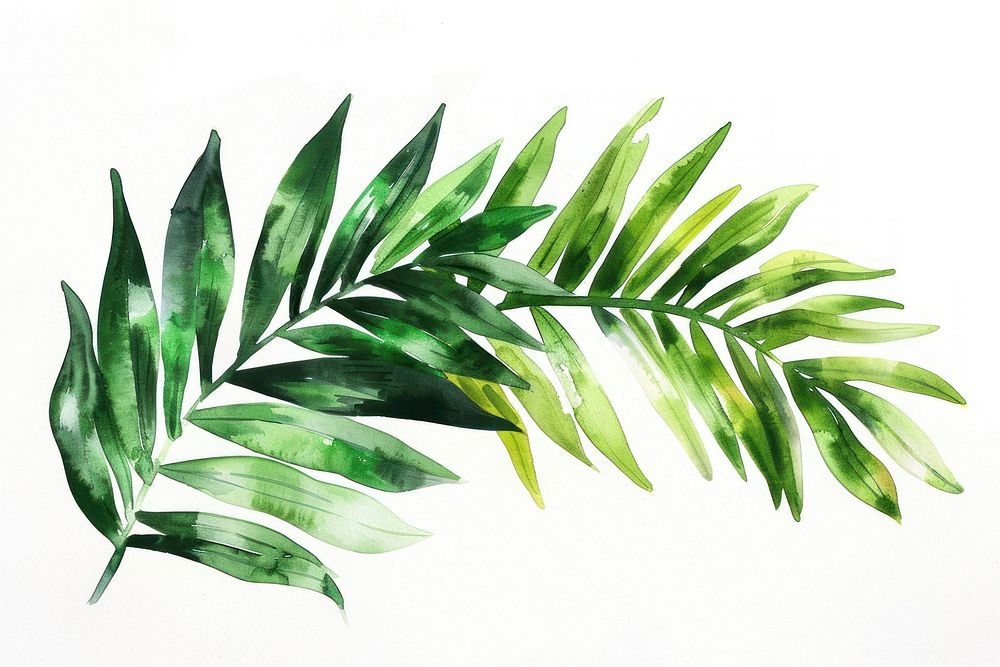 Palm leaves plant leaf creativity.