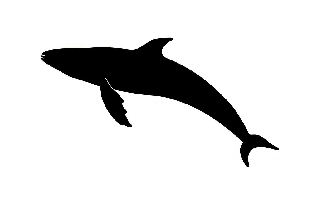 Whale silhouette dolphin animal mammal.